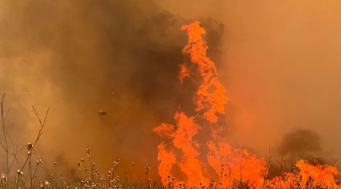 בעקבות השרב הכבד: שריפות בשטחים פתוחים פרצו ברחבי הארץ