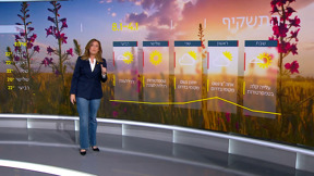 תחזית 03.01