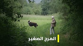 مكان وثائقي - المرج الصغير | מכאן דוקו - האחו הקטן