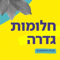 כאן כלכלי