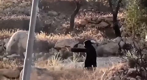 האלימות ביו״ש מחריפה: מתנחלים תקפו פלסטינים סמוך לרמאללה
