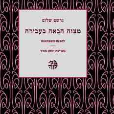 16 9 חדש (21)