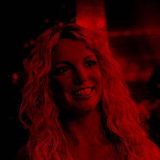 cat8325_img412744607.jpg