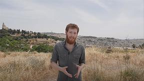 נדב הלפרין