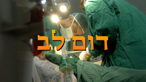 דום לב 2001