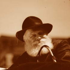 מנחם מנדל שניאורסון