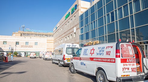 בית החולים קפלן ברחובות, ארכיון