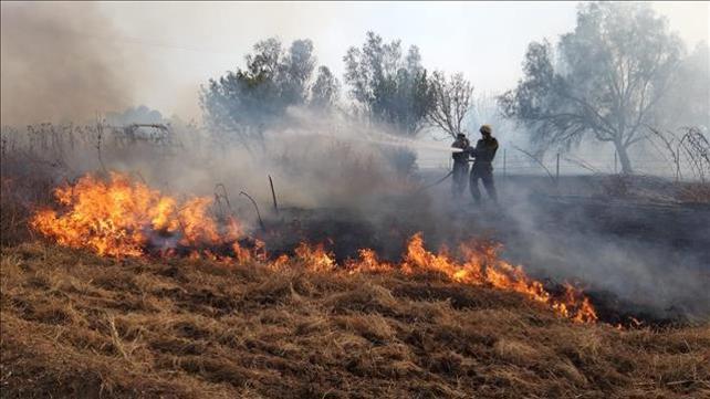 דליקה בעוטף עזה מבלון תבערה, יוני 2019