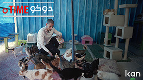 دوكوتايم بيت للقطط