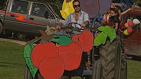 סלסלת ביכורים - קריית ענבים