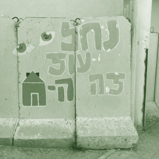 "כשהתחלתי לצלם חשבתי שההלוויות מאחורינו. זו היתה קפיצת ראש למים עמוקים"