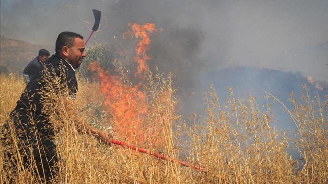 שריפה של חיטה בעוטף עזה