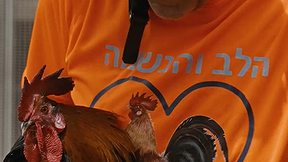 מלכת השכונה