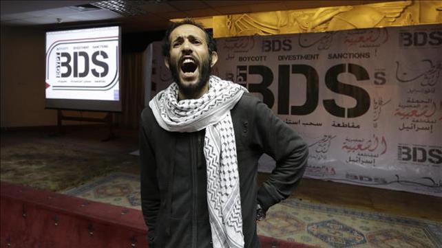 בי.די.אס, BDS, תנועת החרם על ישראל