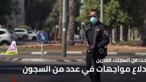 النشرة المسائية 