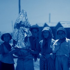 תימן