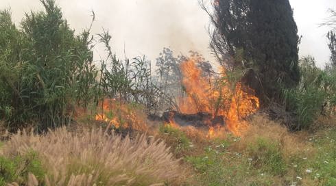 שריפה גדולה ליד פתח תקווה גורמת לשיבוש התנועה