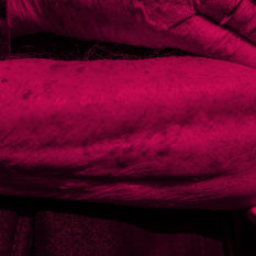 cat10028_img9558952.jpg