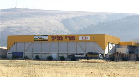 "מחליט ללא הבנה": פרי הגליל נגד שר החקלאות