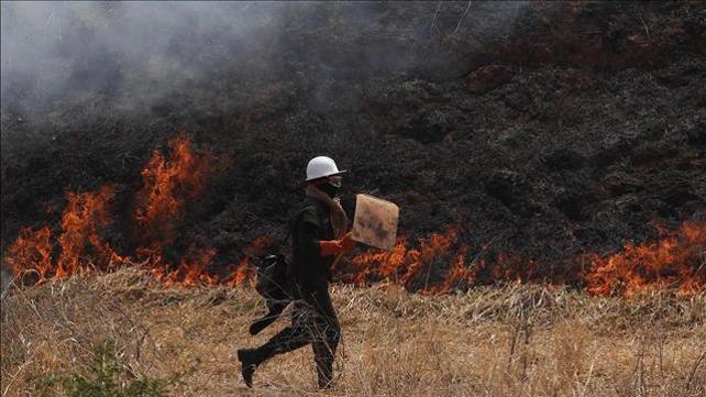 השריפות באמזונאס, אוגוסט 2019