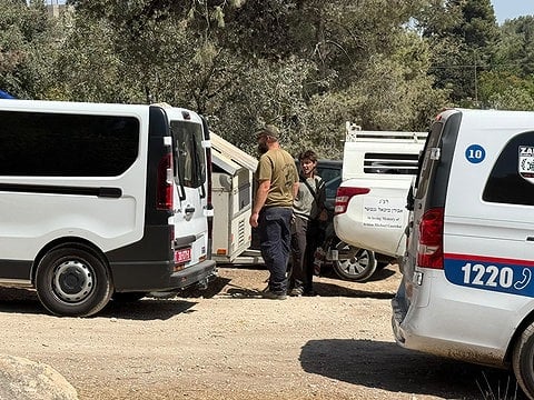חיפושים אחר הנעדרת ממזרח ירושלים ביער החורשה באבו גוש, 15.9.2026