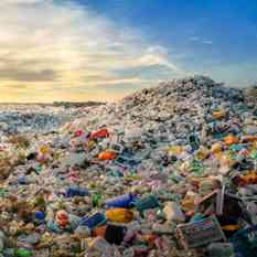 ¿Cómo reciclar plástico con bacterias?