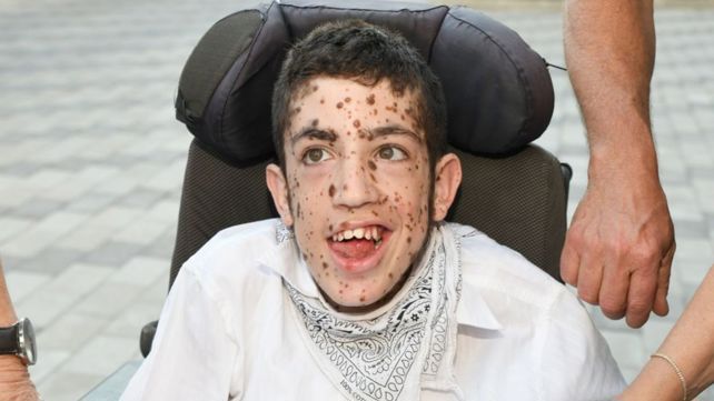 ארז גאון