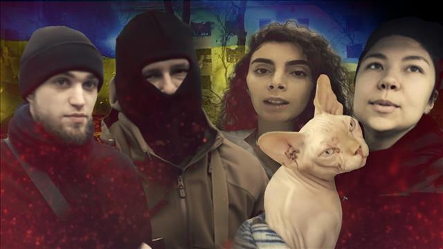 פרוייקט אליזבת עדכני 22.3.22