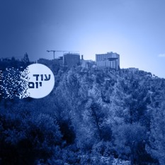 יערות ריבועי 140525