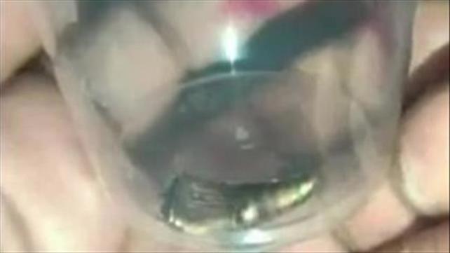 הקליע שהרג את שירין אבו עאקלה