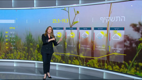 התחזית 18.03.25
