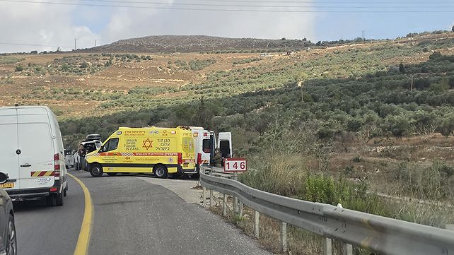 כוחות הצלה בזירה