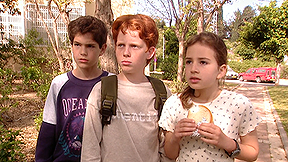גינגי