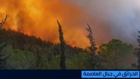 النشرة المسائية 16.8