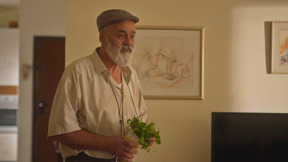 שכונת חיים - הצצה