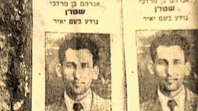 הכל אנשים יאיר שטרן