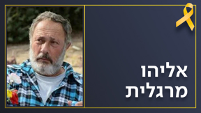 אליהו מרגלית