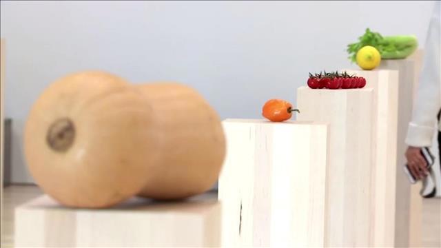 מיצג במוזיאון וויטני בניו יורק 