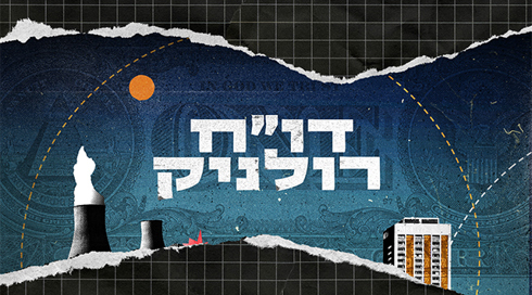 דו"ח רולניק