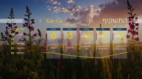 התחזית 31.05.25