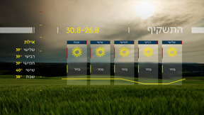 התחזית (37)