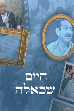 Poster Image Small 239X360 פוסטר קטן חיים שכאלה