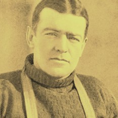 cat29135_img188155915.jpg