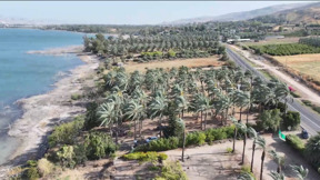החוף של אבא שלו: המשפחות שמשתלטות על חופי הכינרת