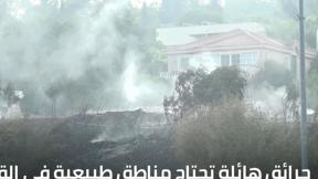 الخامسة في مكان 16.8