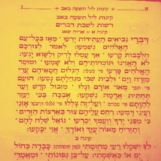 cat10664_img971225704.jpg