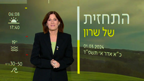 התחזית