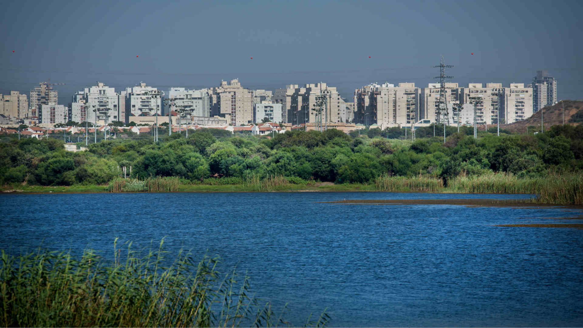 ראשון לציון