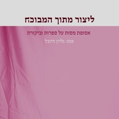 כריכת הספר "ליצור מתוך המבוכה"