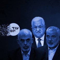 Squer 550 Blue פלסטינים